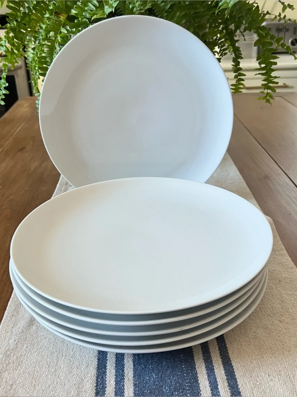 6 Crate & Barrel Round White Coupe Dinner Plates 11.5”